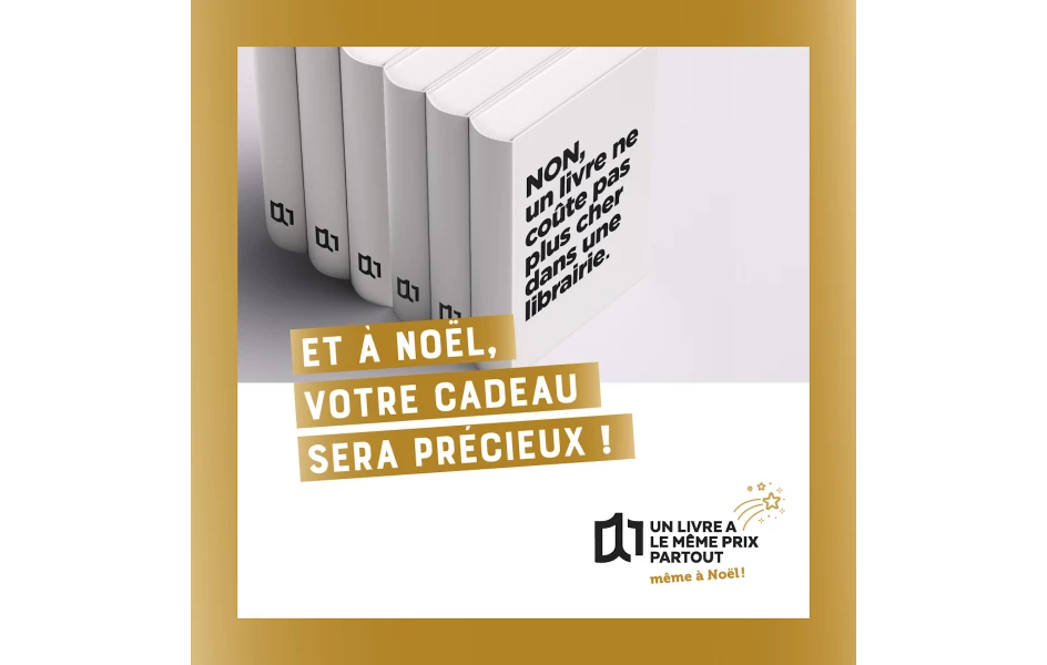 noel-livre-meme-prix-partout-63739fb56be7c900466351