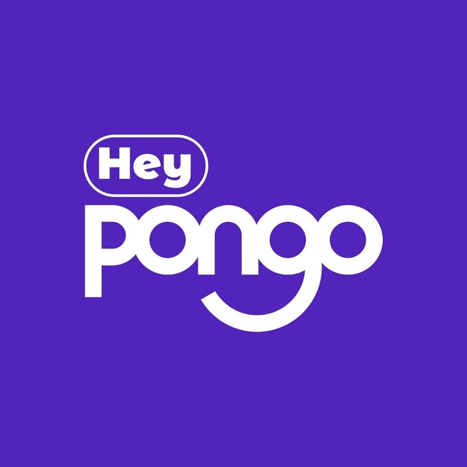 hey pongo logo
