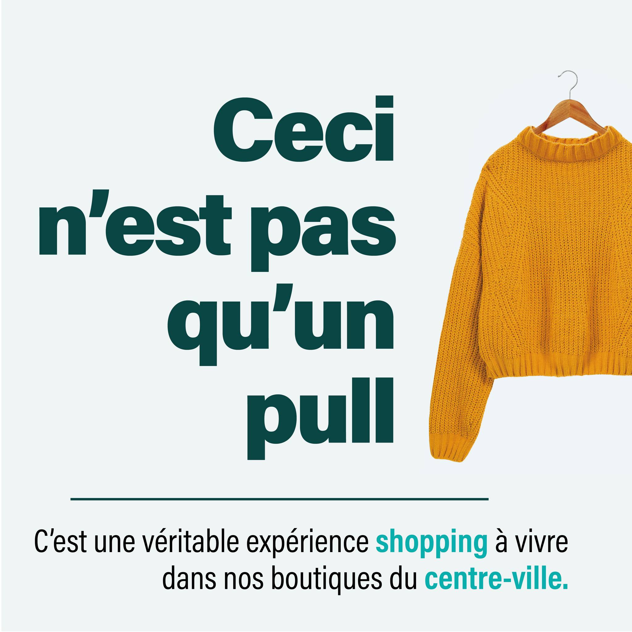 Ceci-nest-pas-un-pull-Campagne-de-com-Laval
