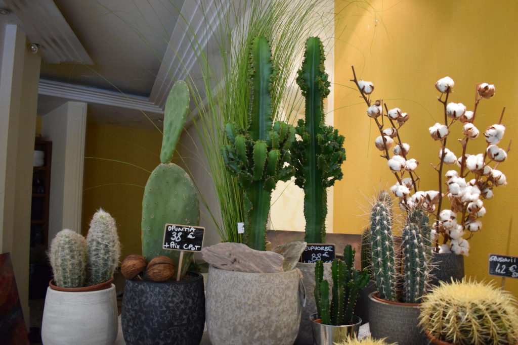 Eden-Flor-Fleuriste-Vanves-ensemble-de-cactus