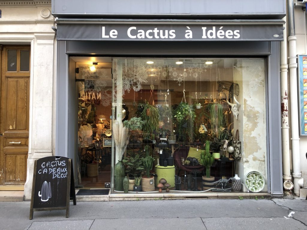 Le-Cactus-a-idees-vitrine-paris-14-1
