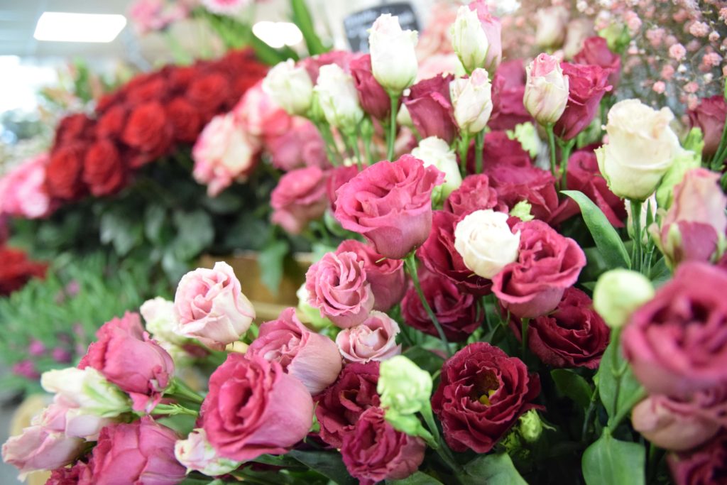 Fleurs-daujoudhui-Gonesse-espace-de-fleurs-coupees-pour-composition-de-bouquets-avec-en-premier-plan-des-eustomas