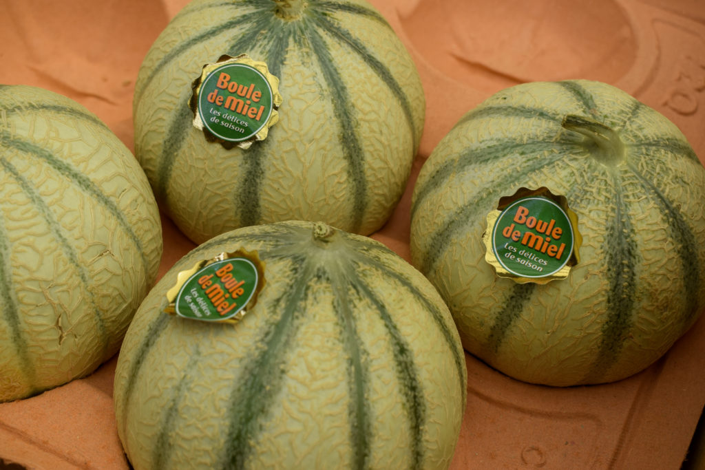 Primeurs-de-Beynes-Beynes-melons-francais
